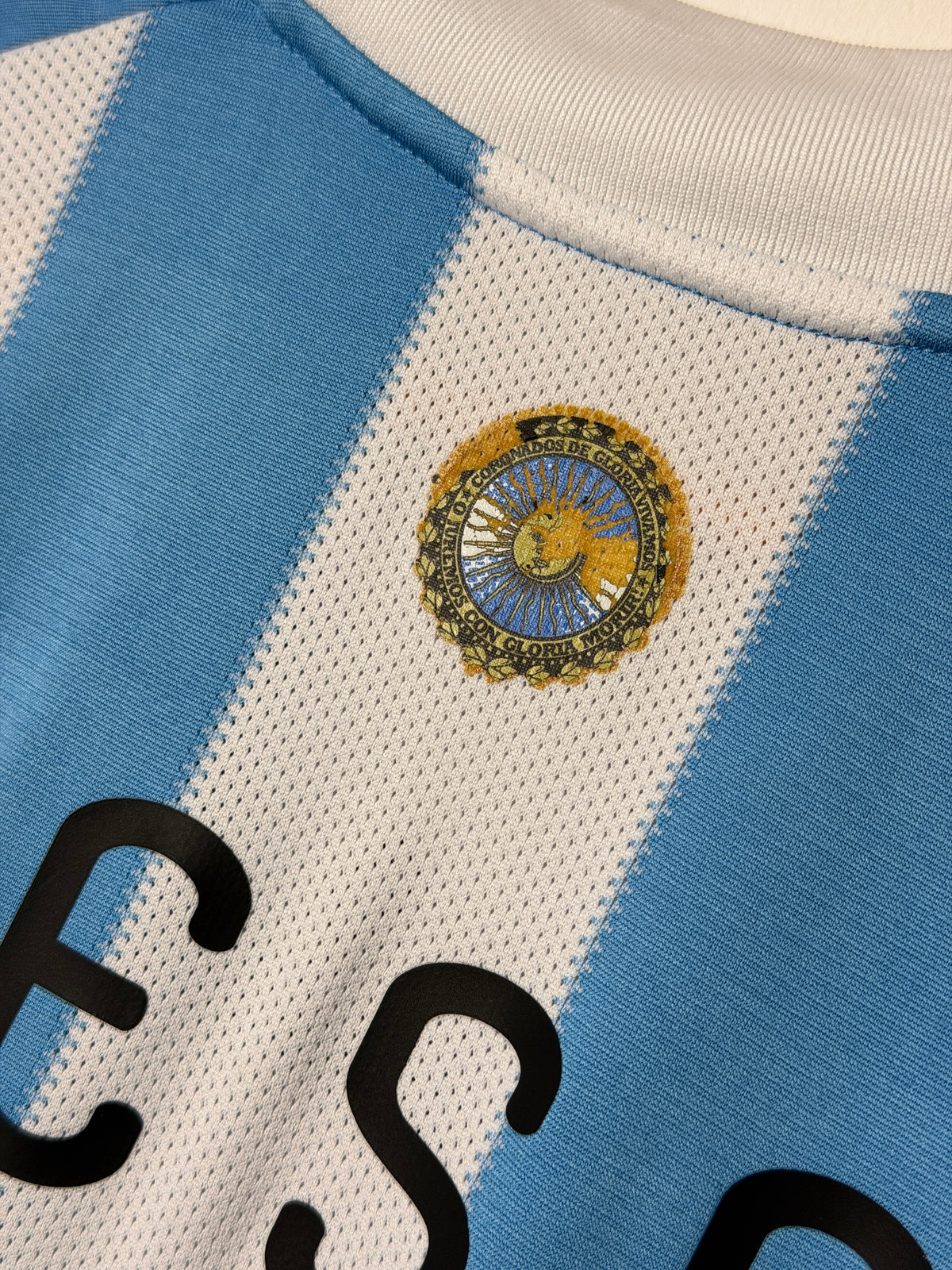 Lionel Messi 2010 Argentina home football shirt (M)