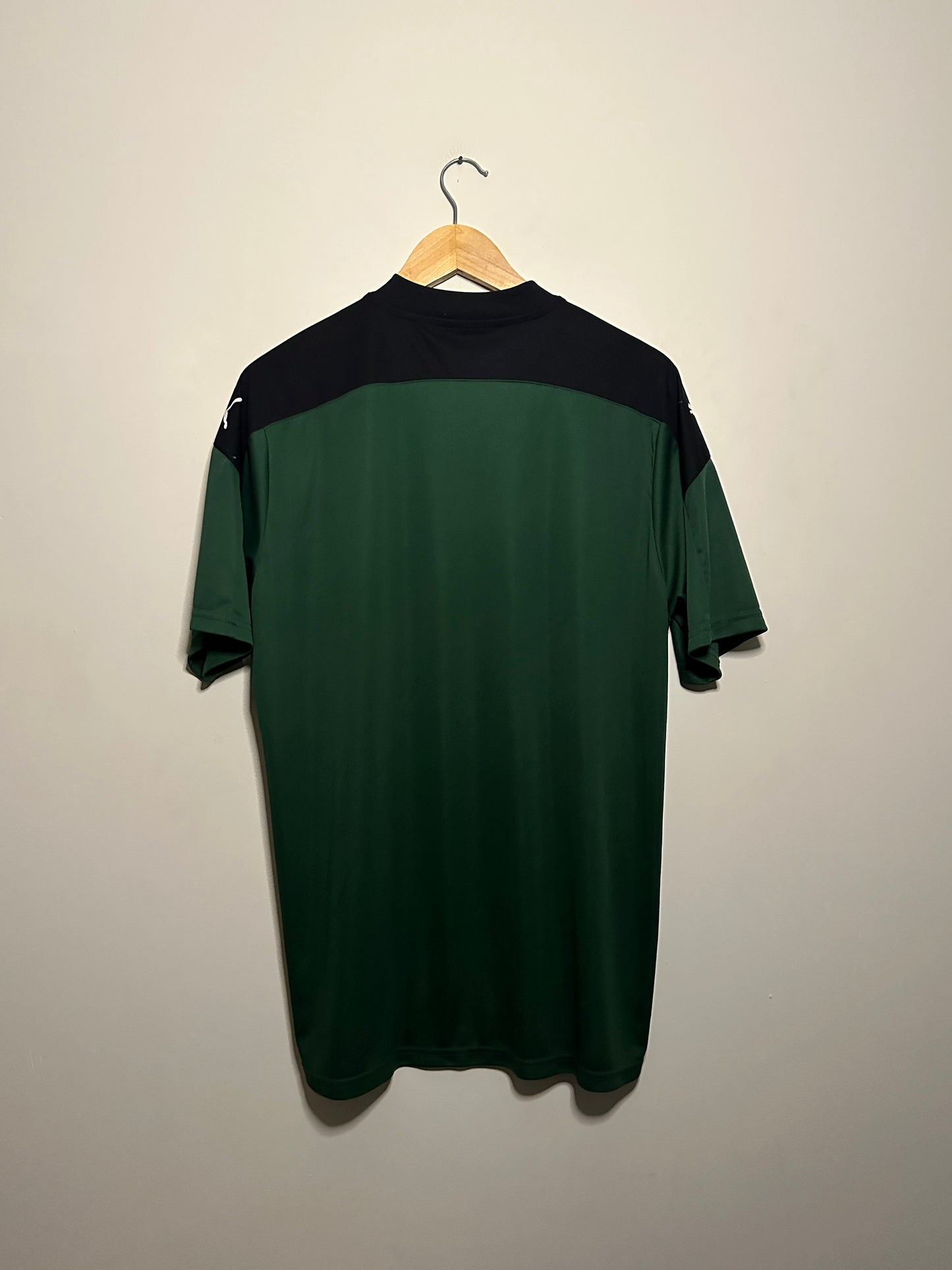 Plymouth Argyle FC 2020-21 home football shirt (XL)