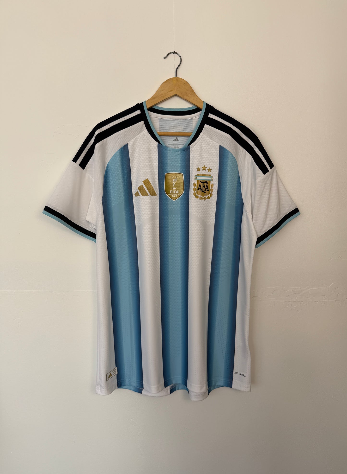 Argentina 2026 World Cup home football shirt (L)