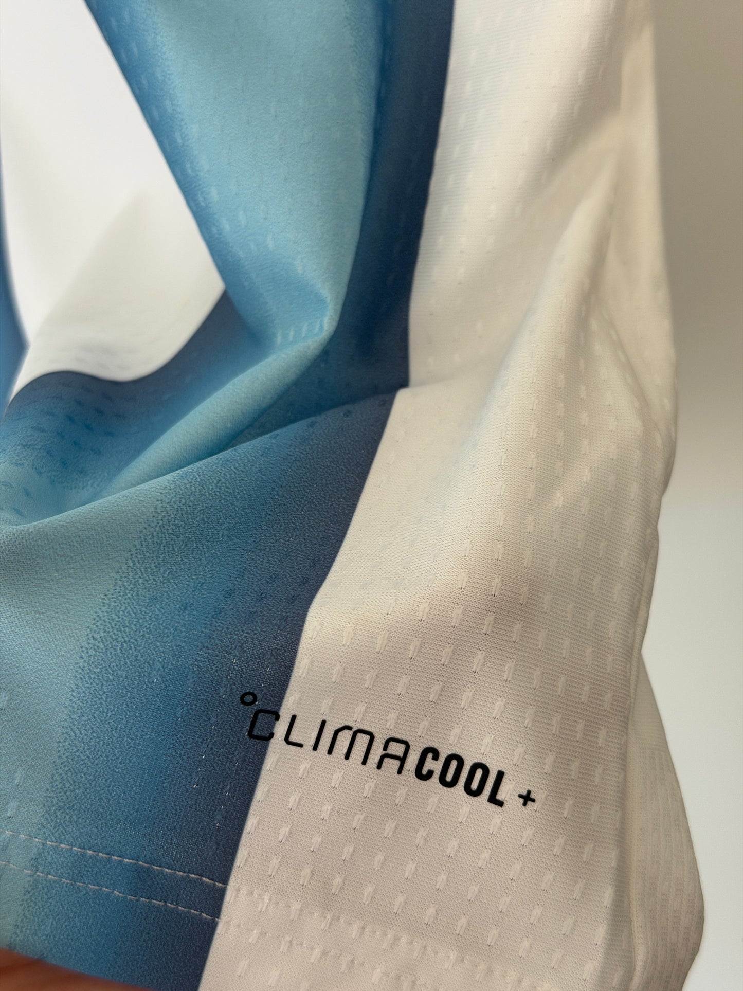 Argentina 2026 World Cup home football shirt (L)