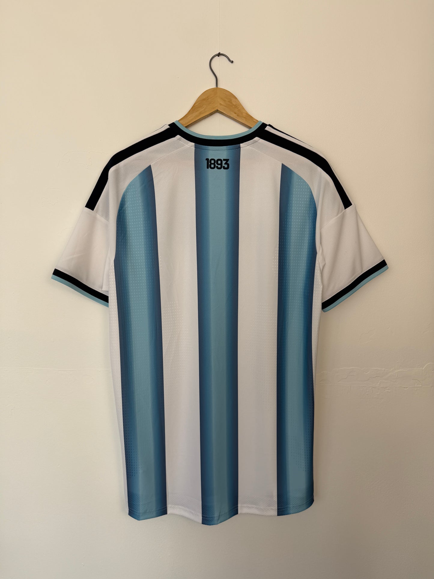 Argentina 2026 World Cup home football shirt (L)