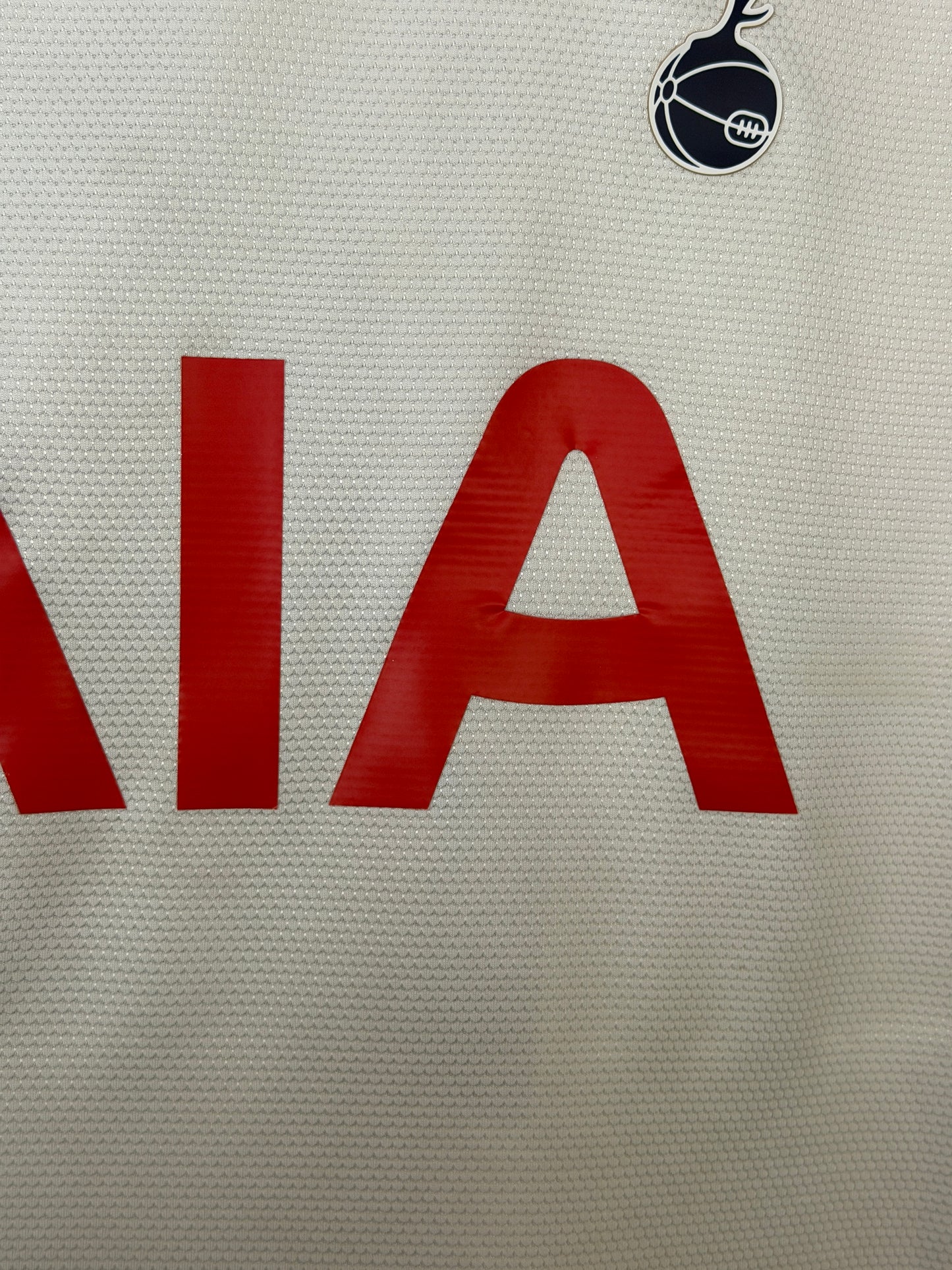 Harry Kane Tottenham Hotspur 2021-22 home football shirt (M)