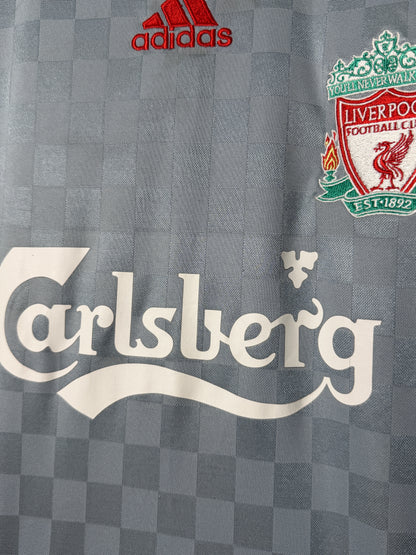 Fernando Torres Liverpool FC 2008-09 away football shirt (L)