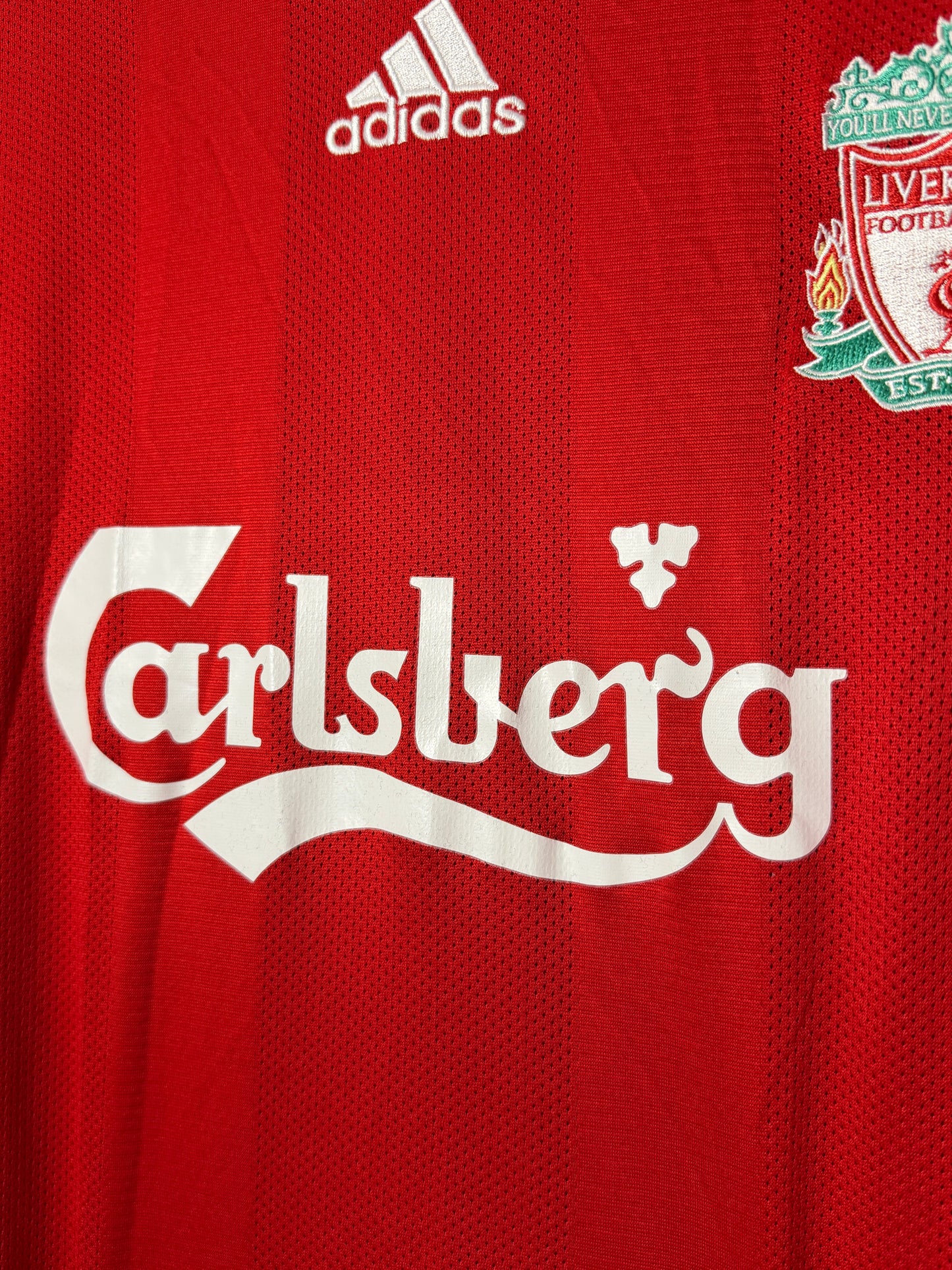 Fernando Torres Liverpool FC 2008-09 home football shirt (M)