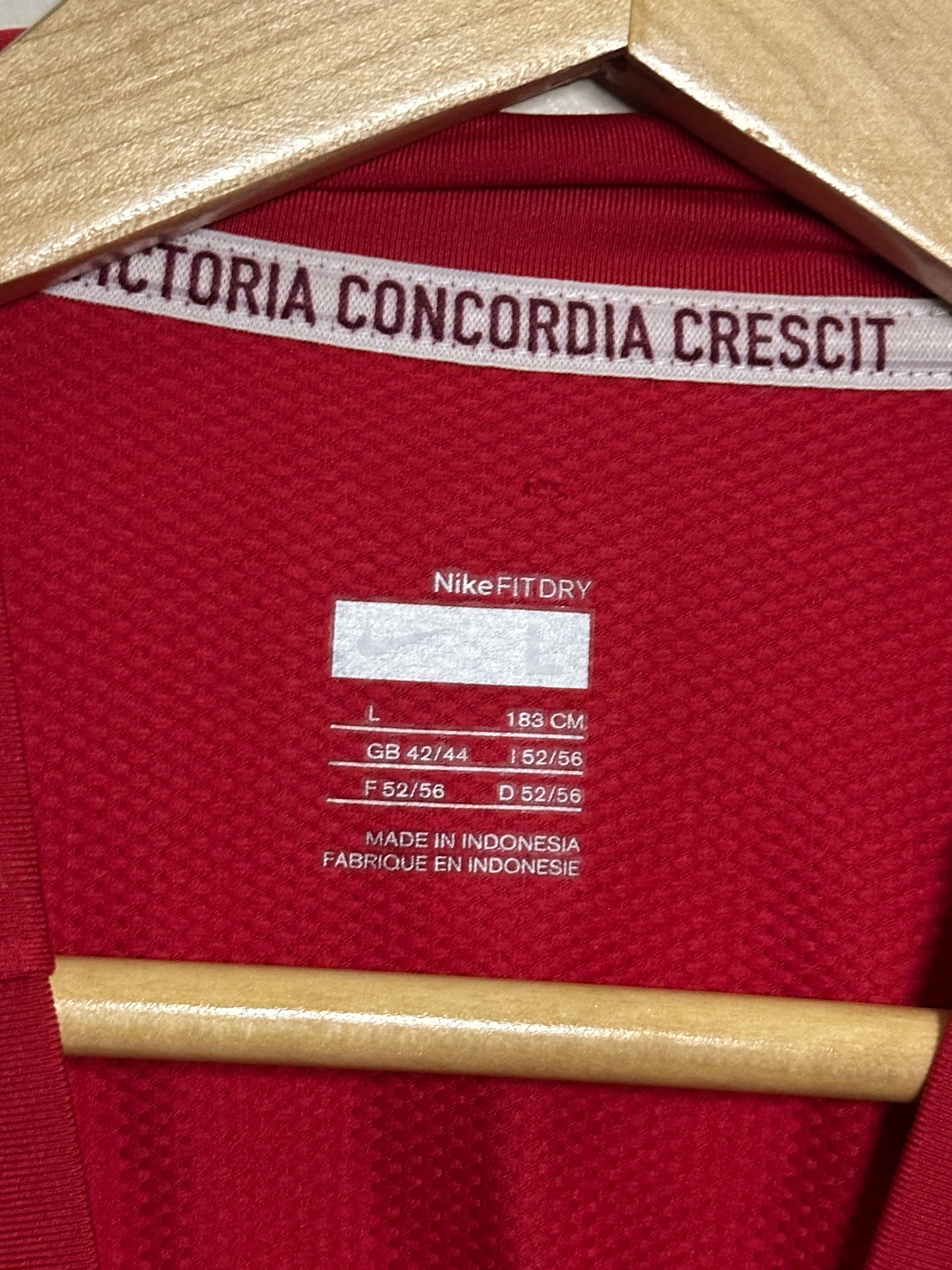 Jack Wilshere Arsenal FC 2009-10 home football shirt (L)