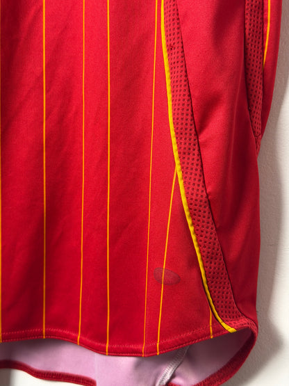 Fernando Torres Spain 2006 World Cup home football shirt (M)