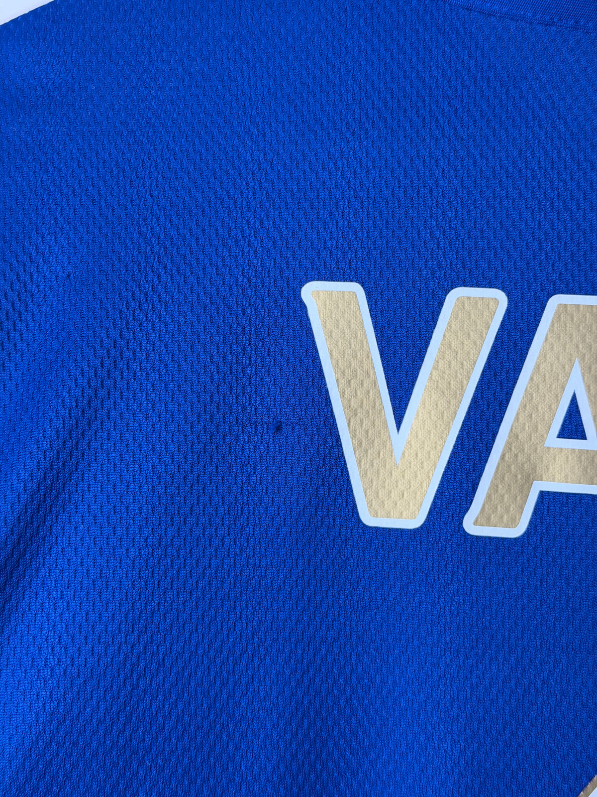 Jamie Vardy Leicester City FC 2014-15 home football shirt (L)