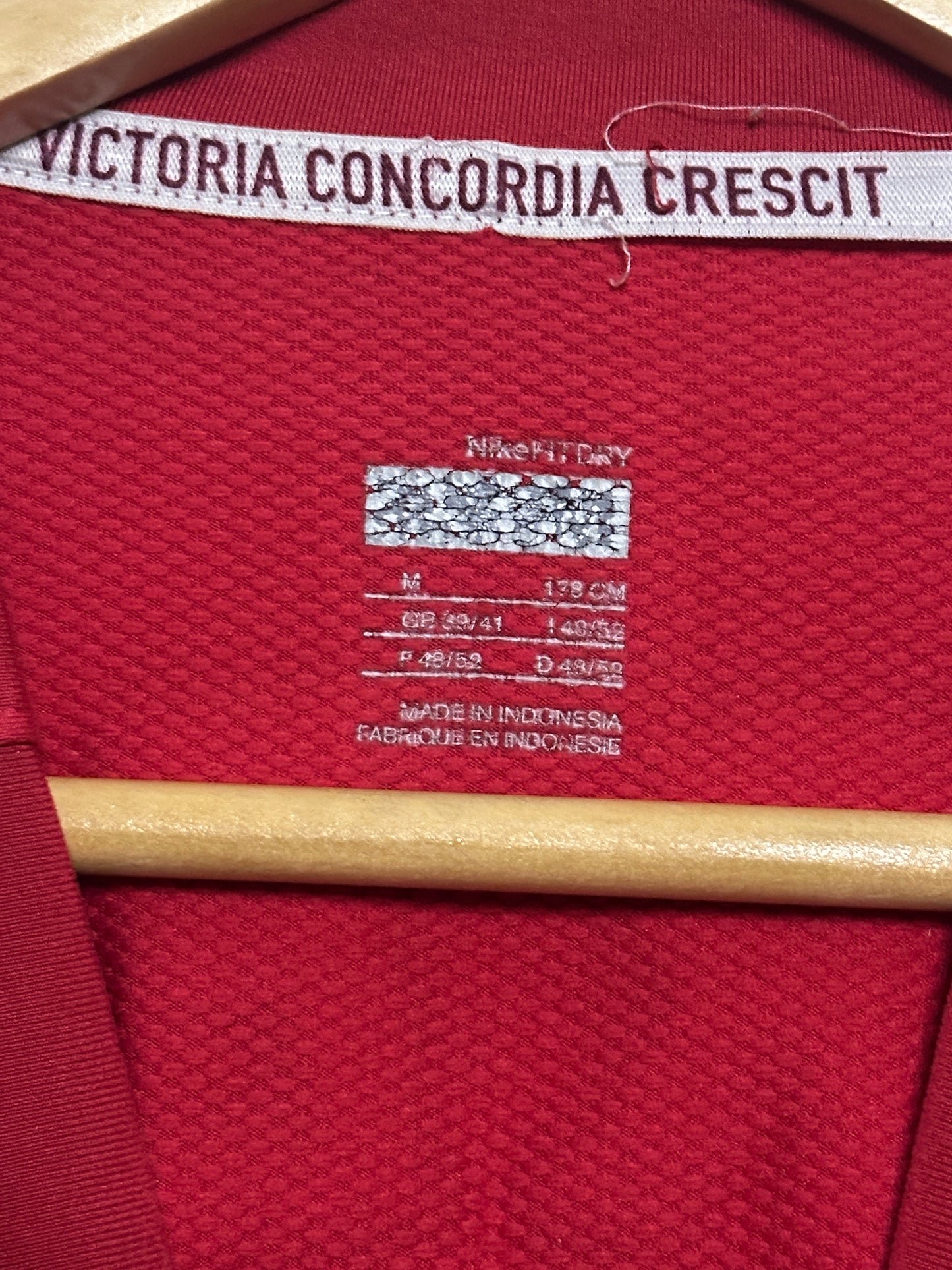 Cesc Fabregas Arsenal FC 2009-10 home football shirt (M)